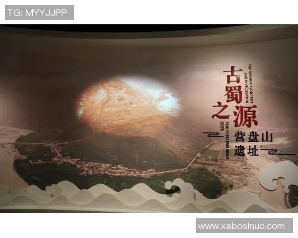 探索别利克的神秘魅力与文化底蕴，揭开历史的面纱与未来的可能性